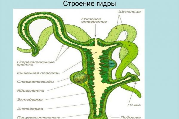 Восстановить аккаунт блэк спрут